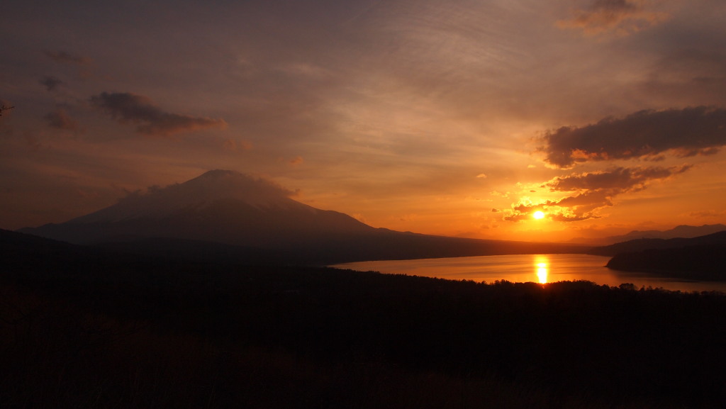 4/30 �[�Ă��ƕx�m�R