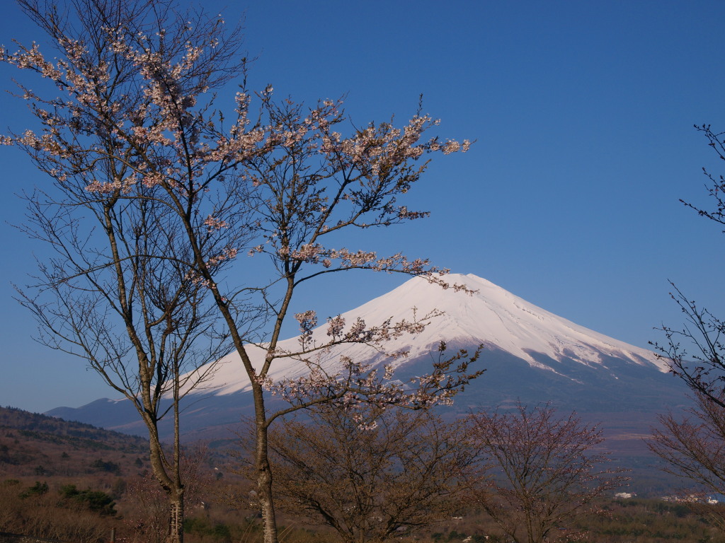 5/1 �p�m���}��̍��ƕx�m�R(2)