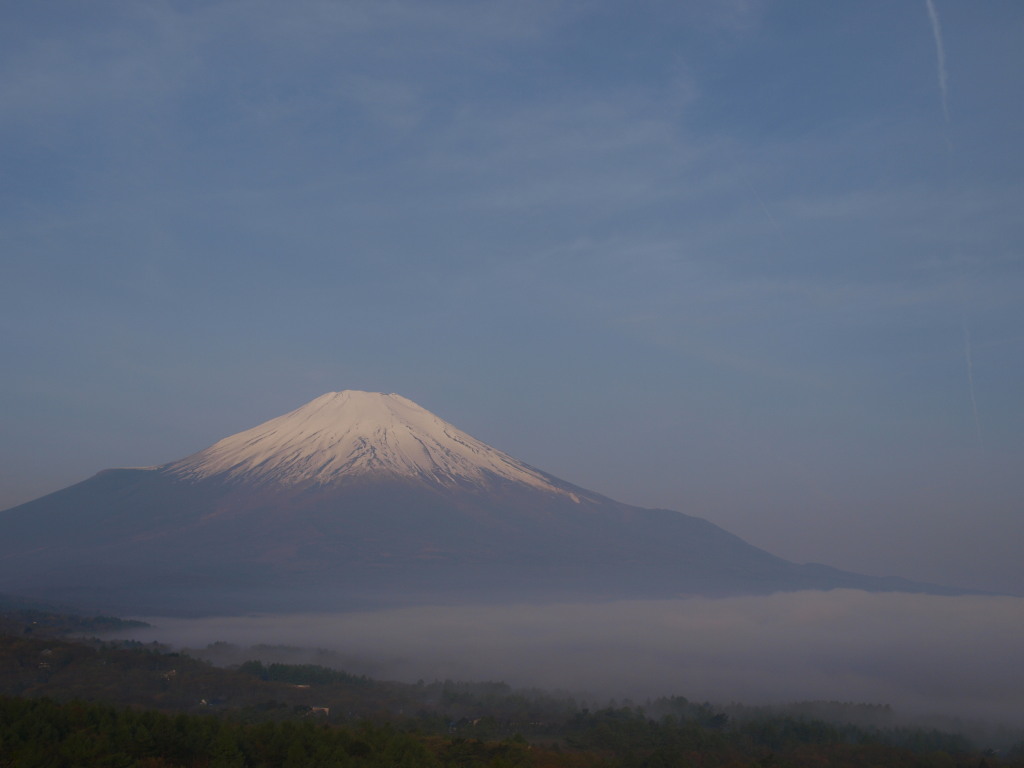 5/10 �_�C�ƕx�m�R