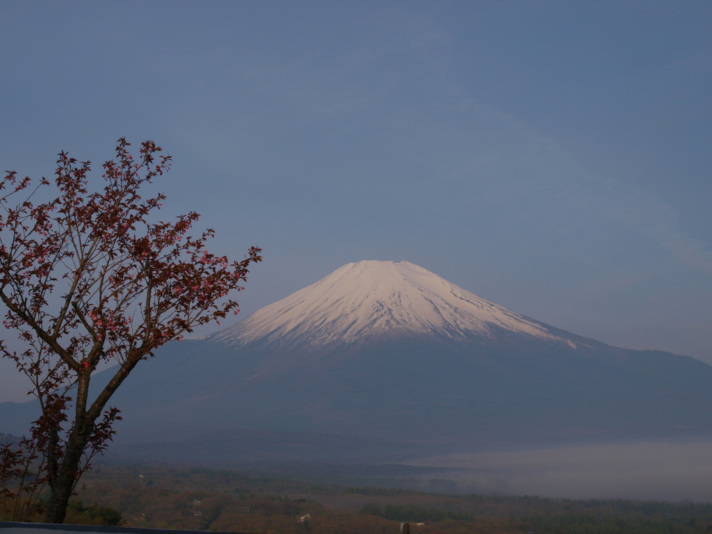 5/10 ���ƕx�m�R