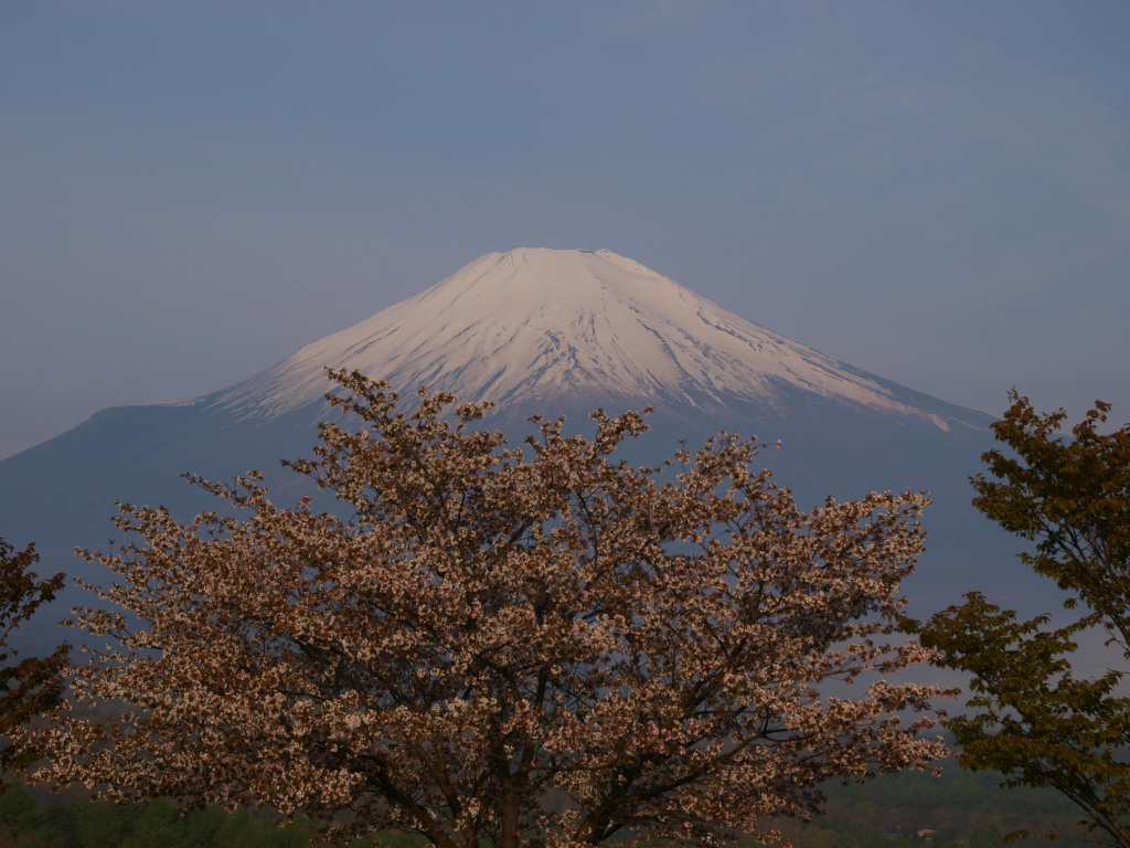 5/10 ���ƕx�m�R