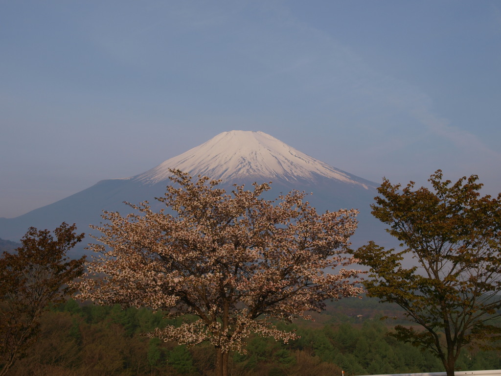 5/10 ���ƕx�m�R(2)