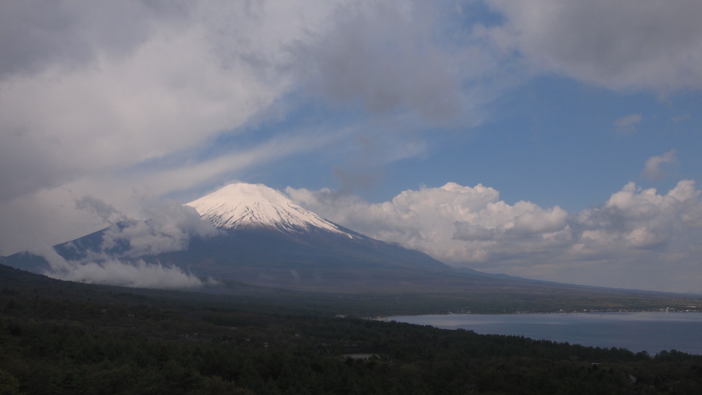 5/12 �J�オ��̕x�m�R