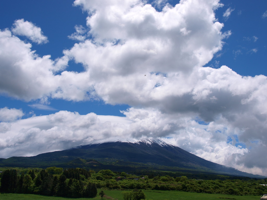 5/27 �_�Ɛ�ƕx�m�R