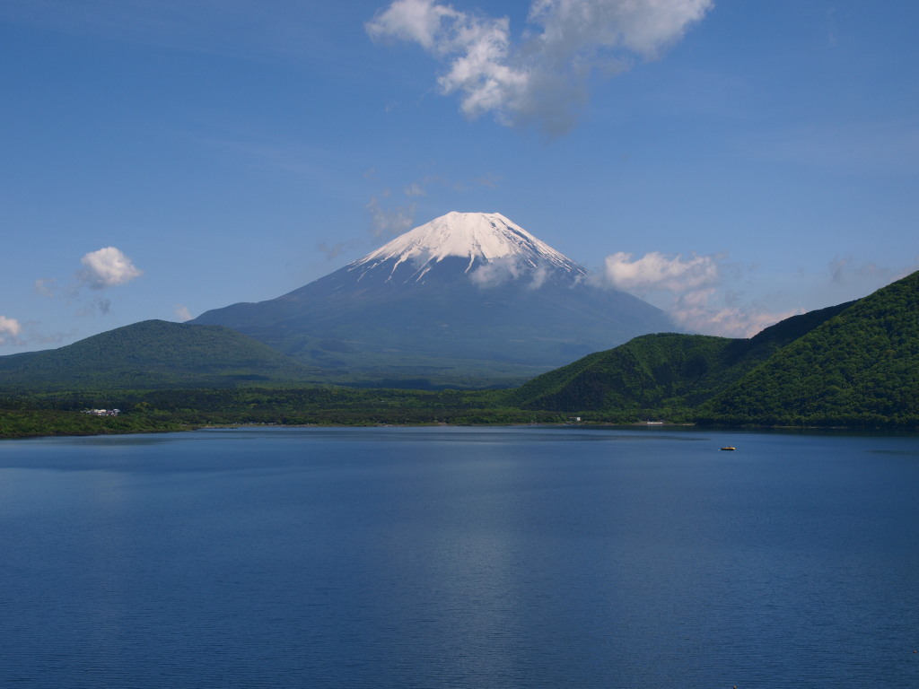 5/28 �_�ƕx�m�R