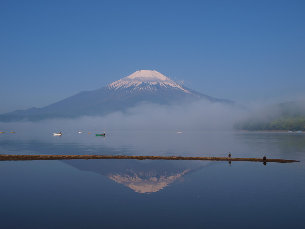 6/2 �_�C�Ƌt���x�m