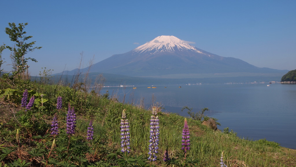 6/2 ���s�i�X�ƕx�m�R