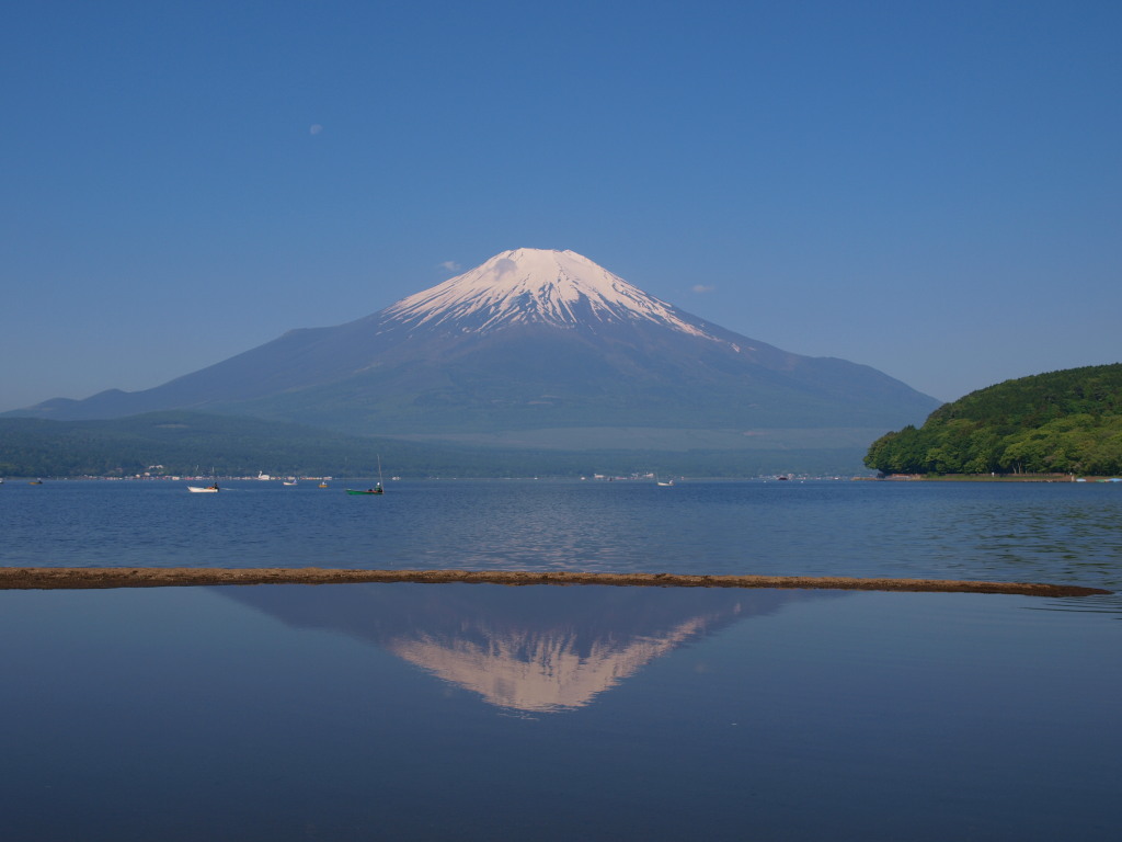 6/2 �s�[�J���̋t���x�m