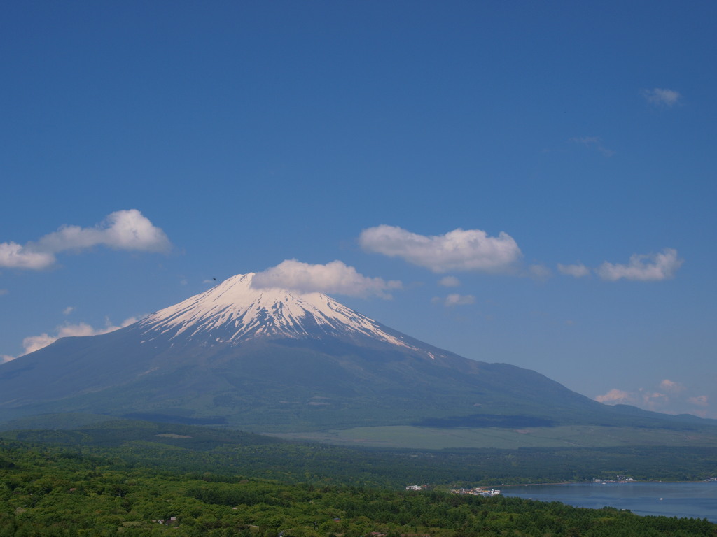 6/2 �V�΂̕x�m�R