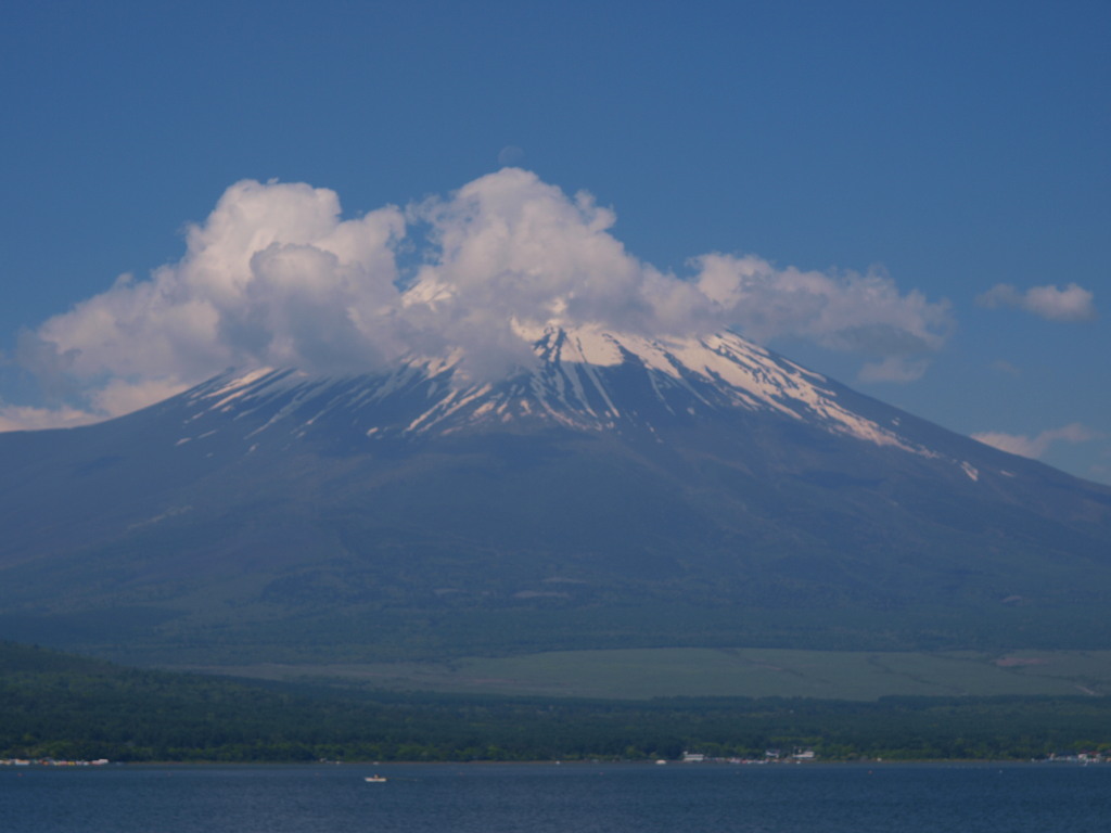 6/3 ���̓���ƕx�m�R