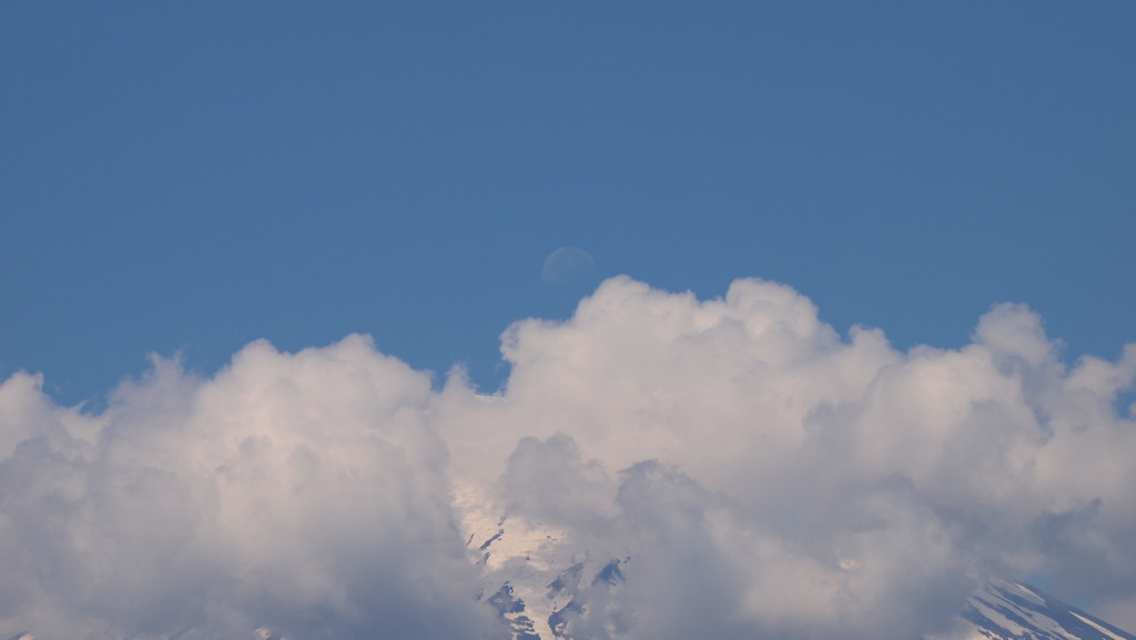 6/3 ����ɒ��ނ����l