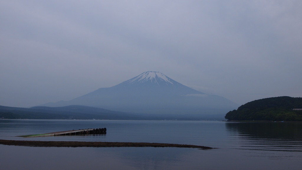 6/25 ���삩��̕x�m�R