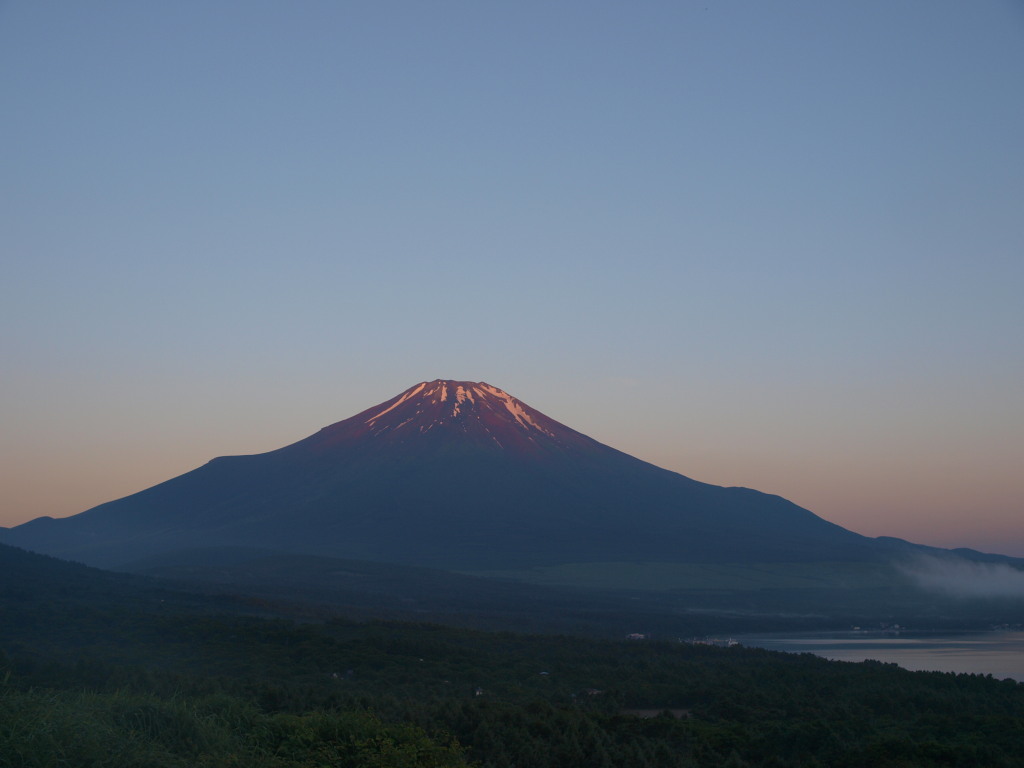 7/8 ���Ă��̕x�m�R