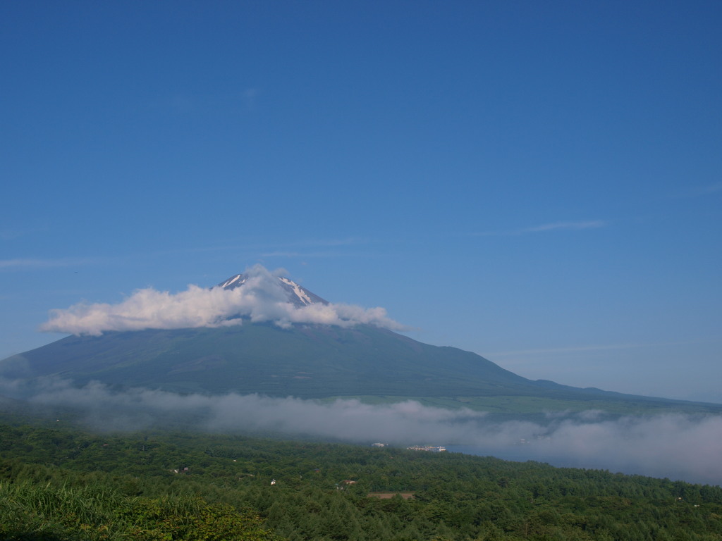 7/8 �Ă̕x�m�R