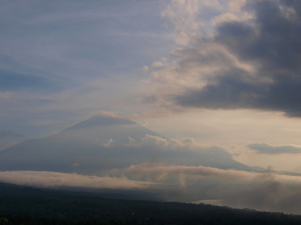 7/29 �[�Ă��ƕx�m�R