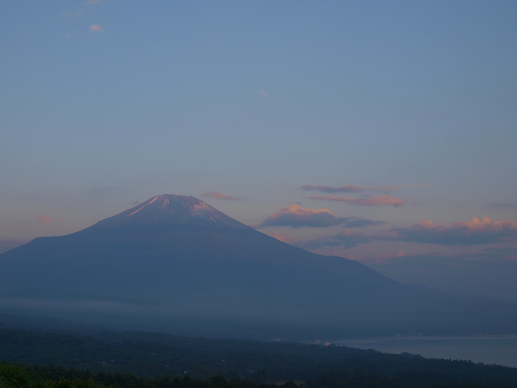 7/22 ���Ă��ƕx�m�R