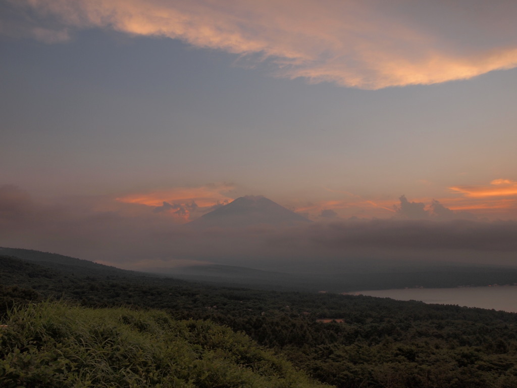 7/22 �[�Ă��ƕx�m�R