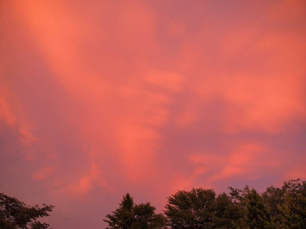 7/22 ���̋�̗[�Ă�