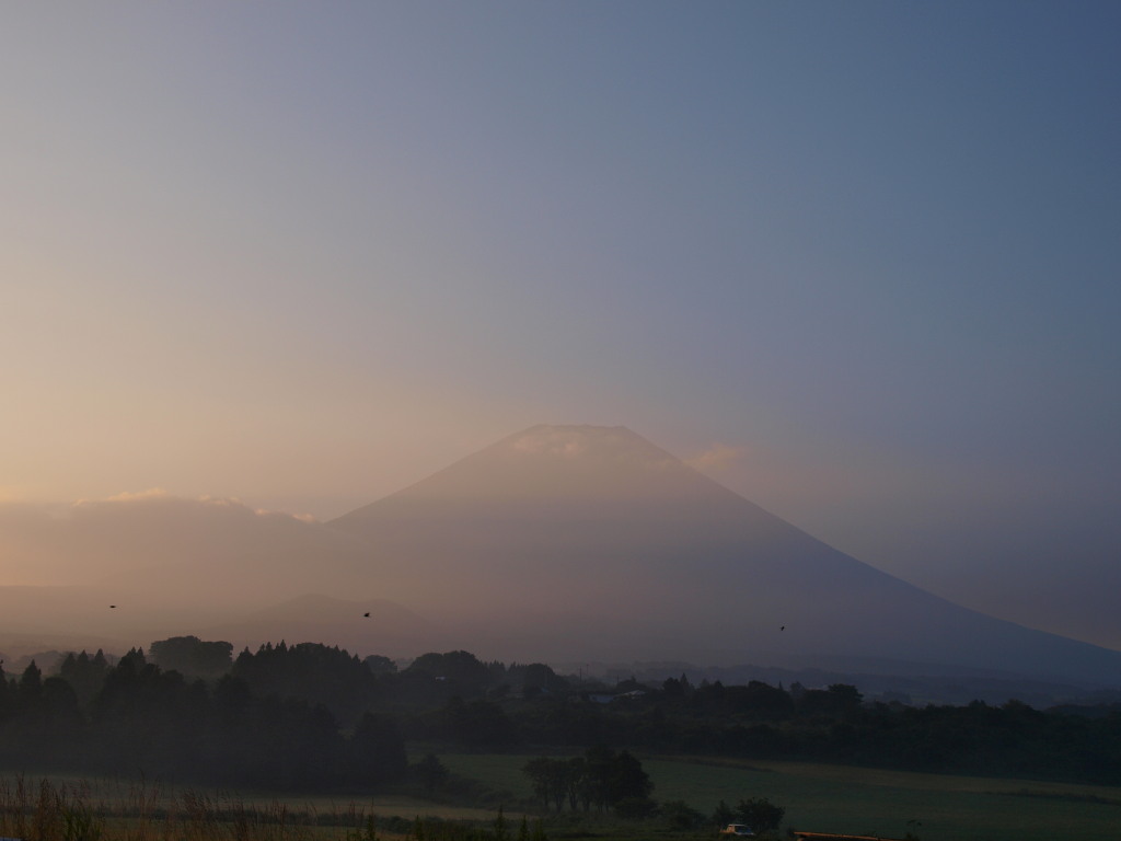 7/24 ���̏o�ƕx�m�R