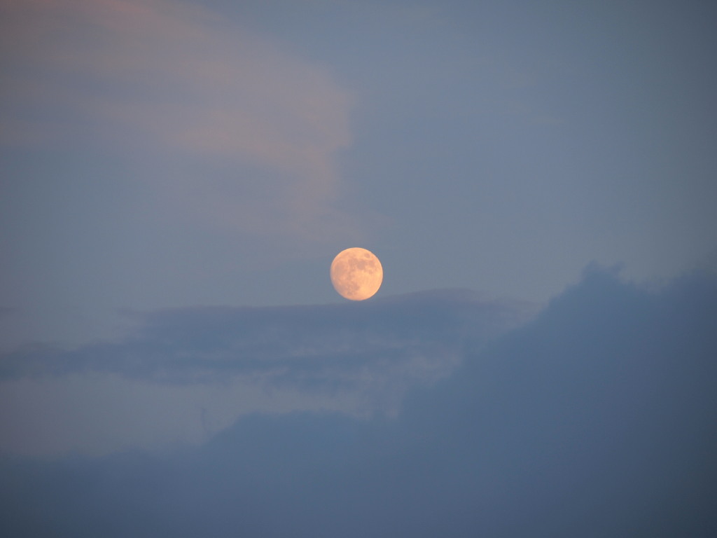 7/24 �\���̌��̏o