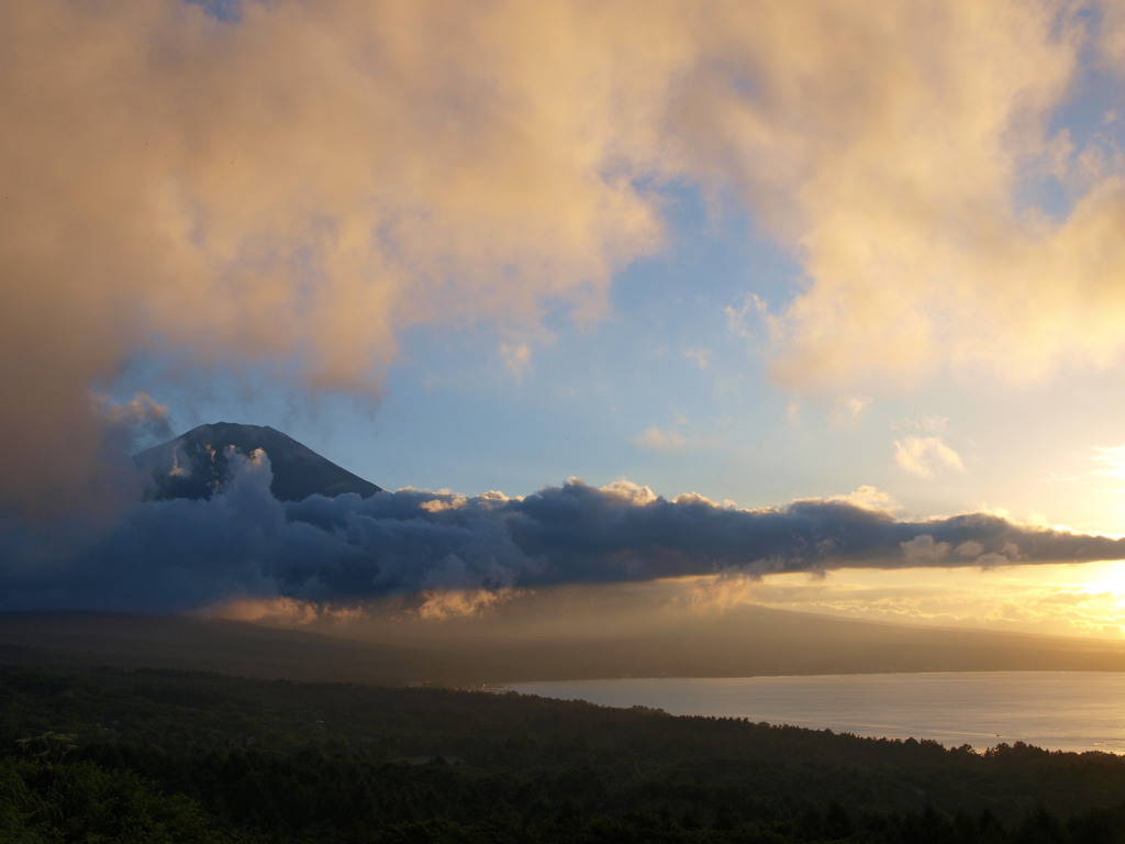 8/3 �[�Ă��ƕx�m�R