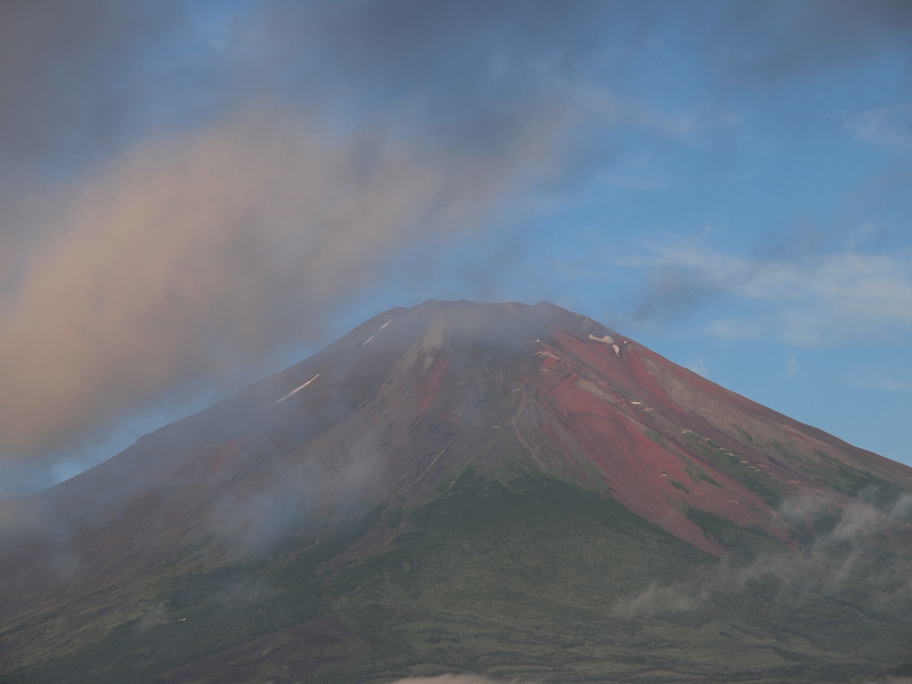 8/4 �p���������_�̒��̕x�m�R