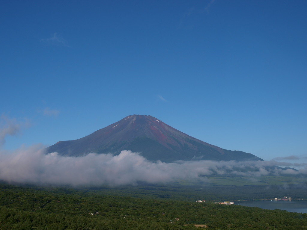 8/4 �s�[�J���̕x�m�R