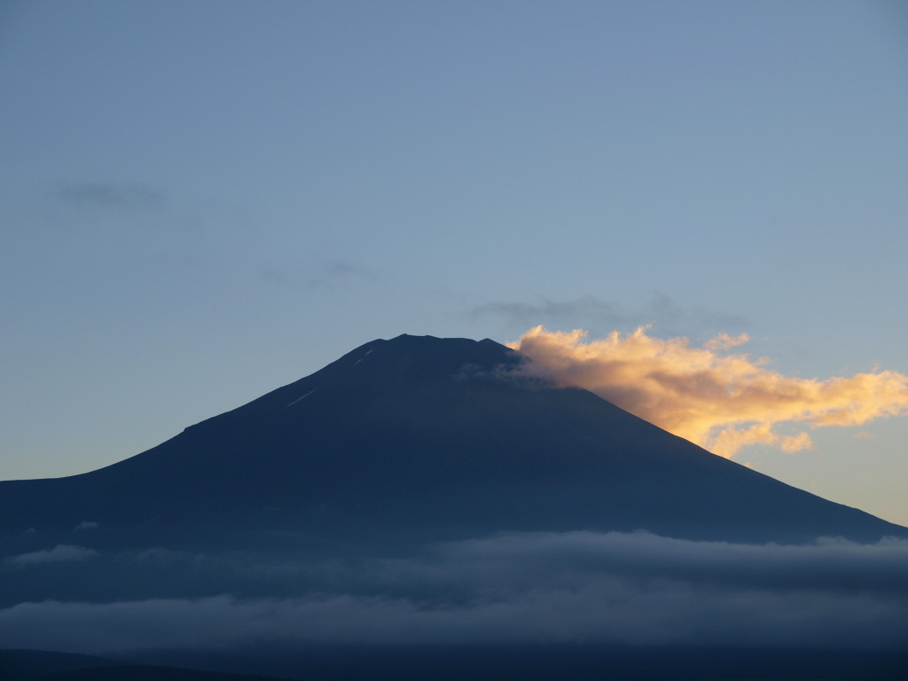 8/4 �[�Ă��ƕx�m�R