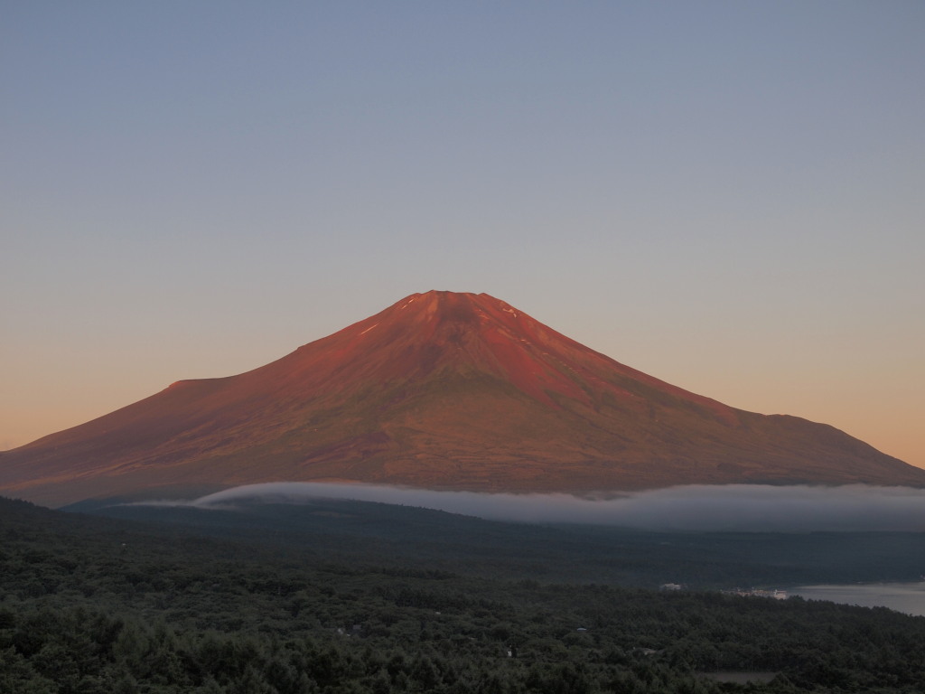 8/5 �Ă̐ԕx�m(2)