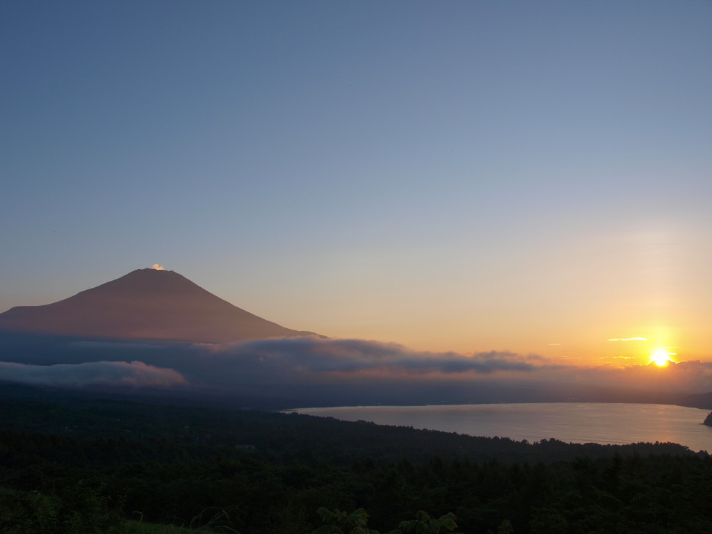 8/5 ���̓���ƕx�m�R