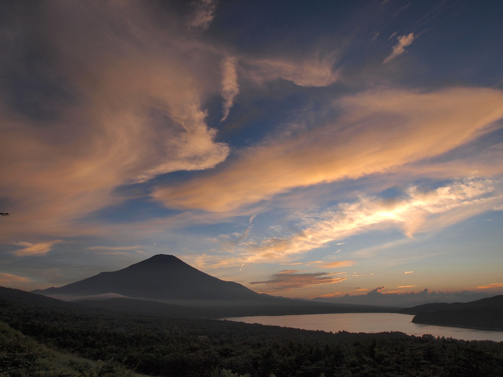 8/7 �[�Ă��ƕx�m�R