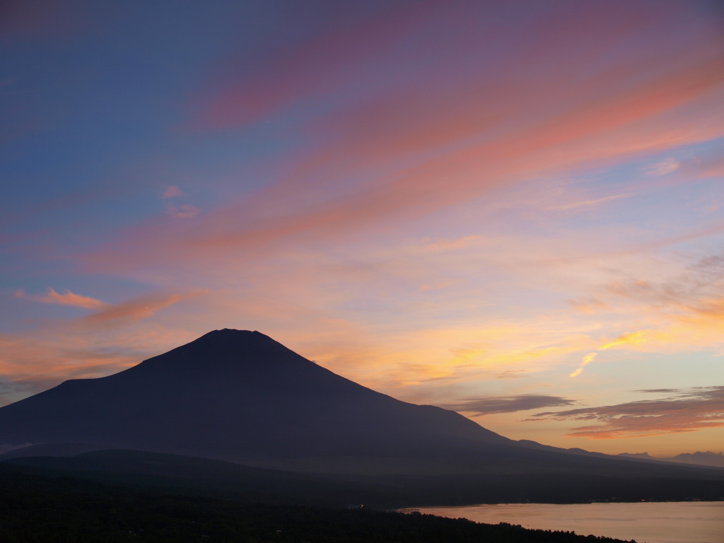 8/7 ��x�Ă��̕x�m�R