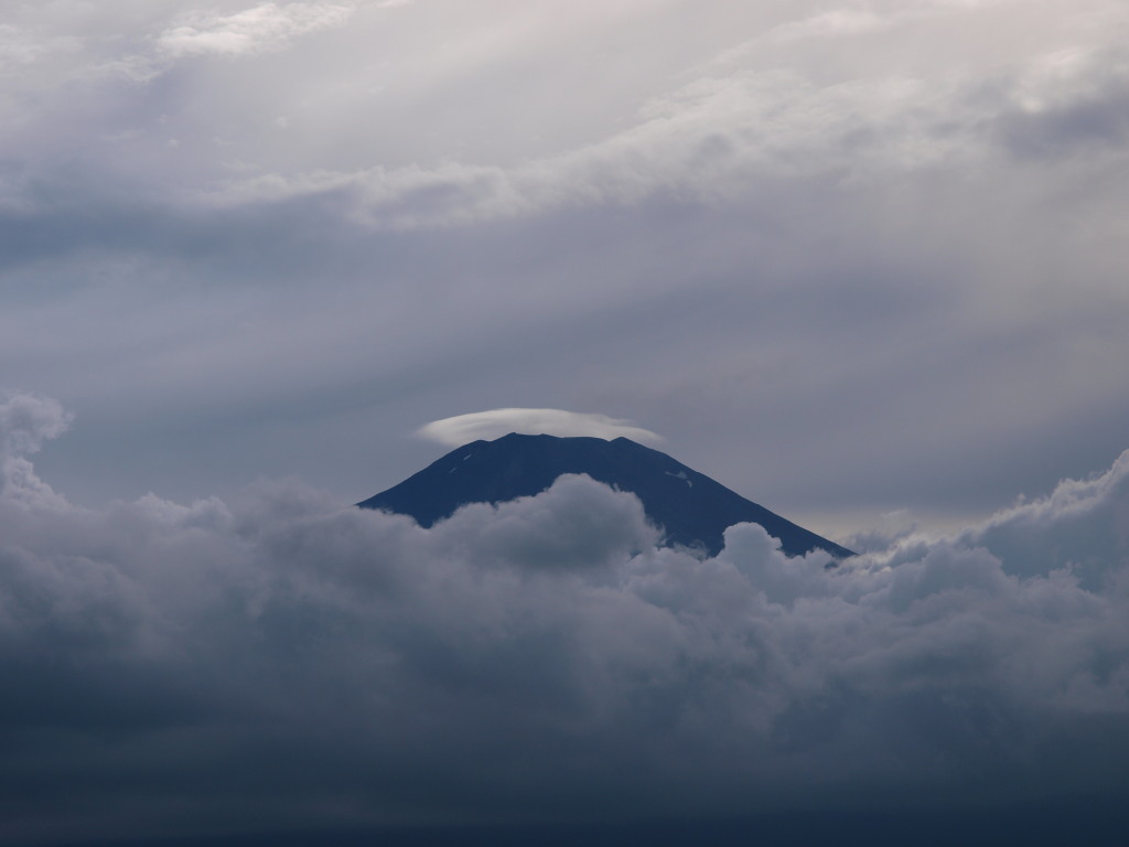 8/8 �P�_�ƕx�m�R