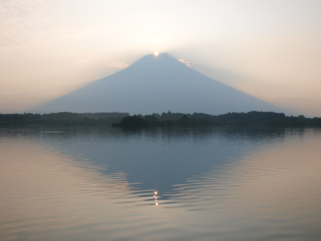 8/19 �_�C�������h�x�m