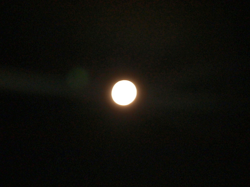 8/24 �\���̌�