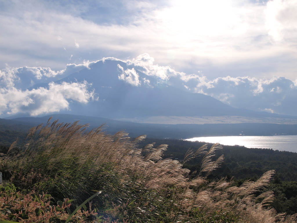 9/7 �X�X�L�Ɖ_�������x�m�R