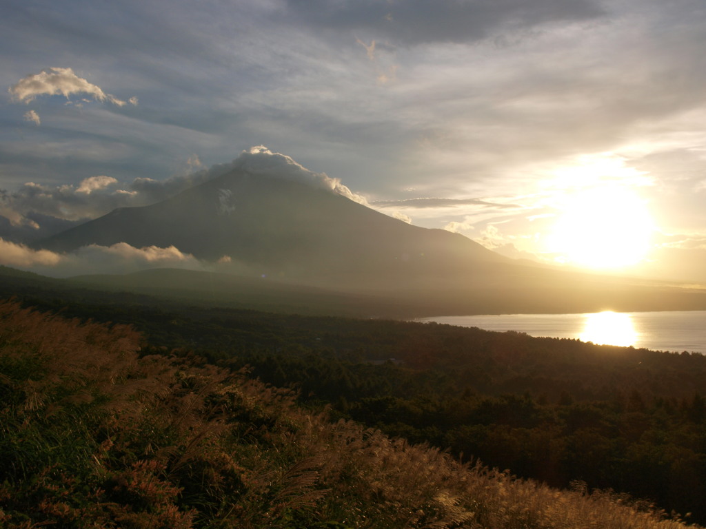 9/7 �[�Ă��ƕx�m�R