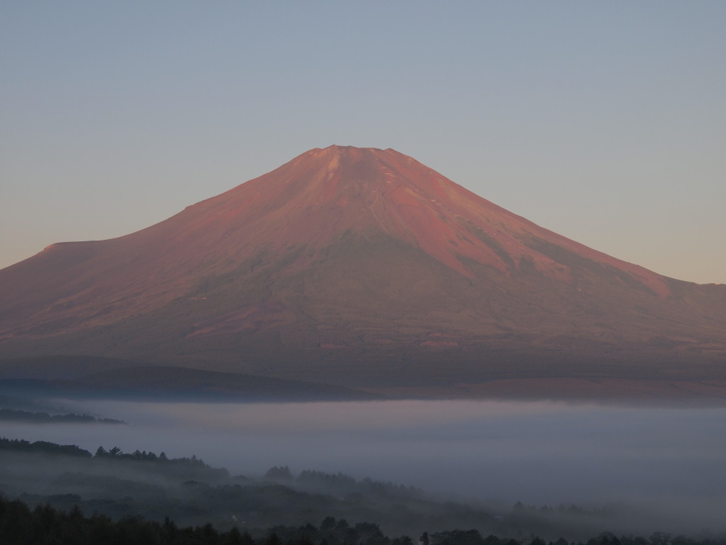 9/11 �_�C�Ɛԕx�m