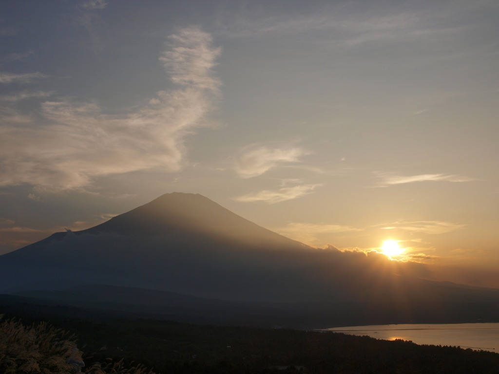 9/21 ���̓���̕x�m�R