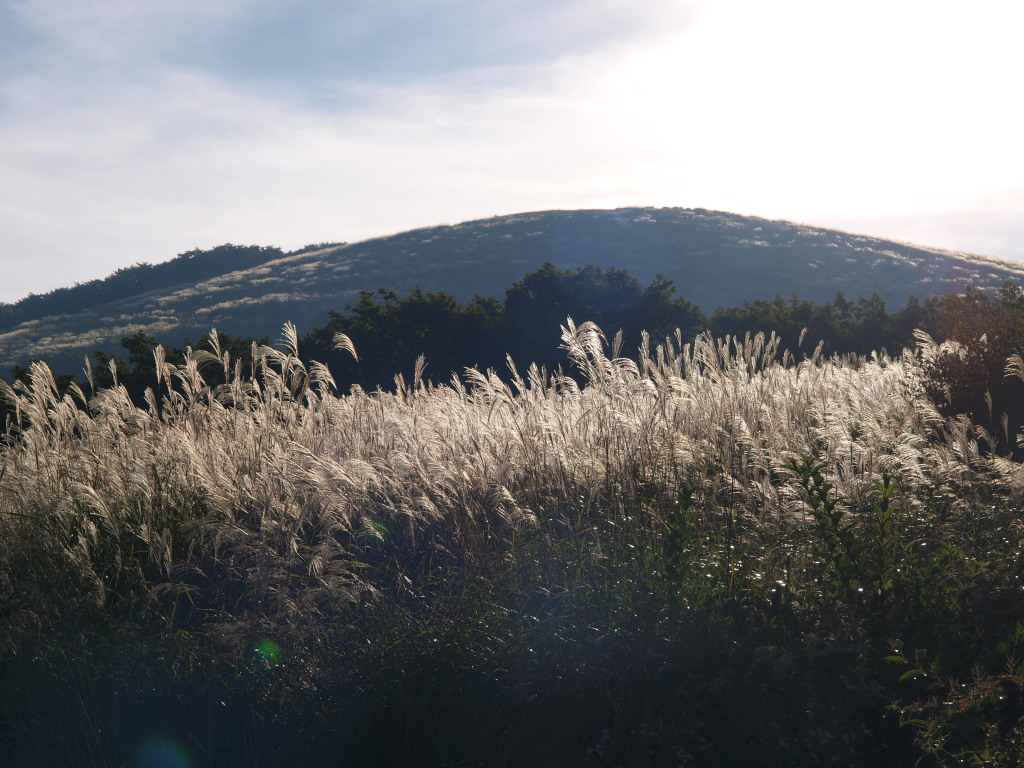 9/22 �t���̃X�X�L