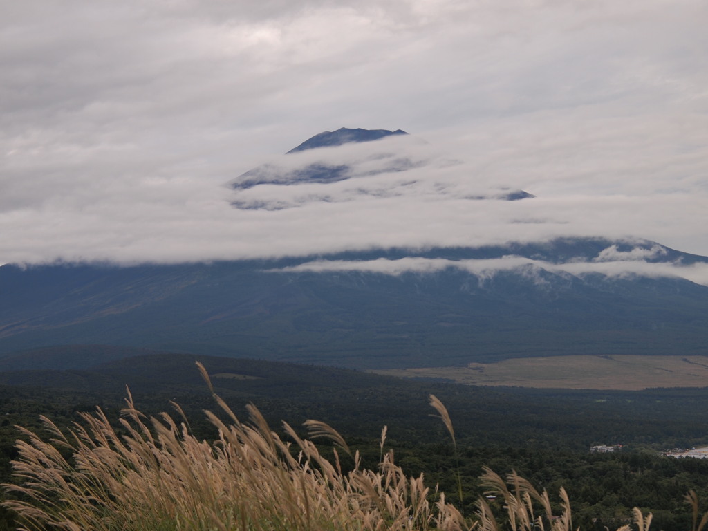 9/24 �J�オ��̕x�m�R