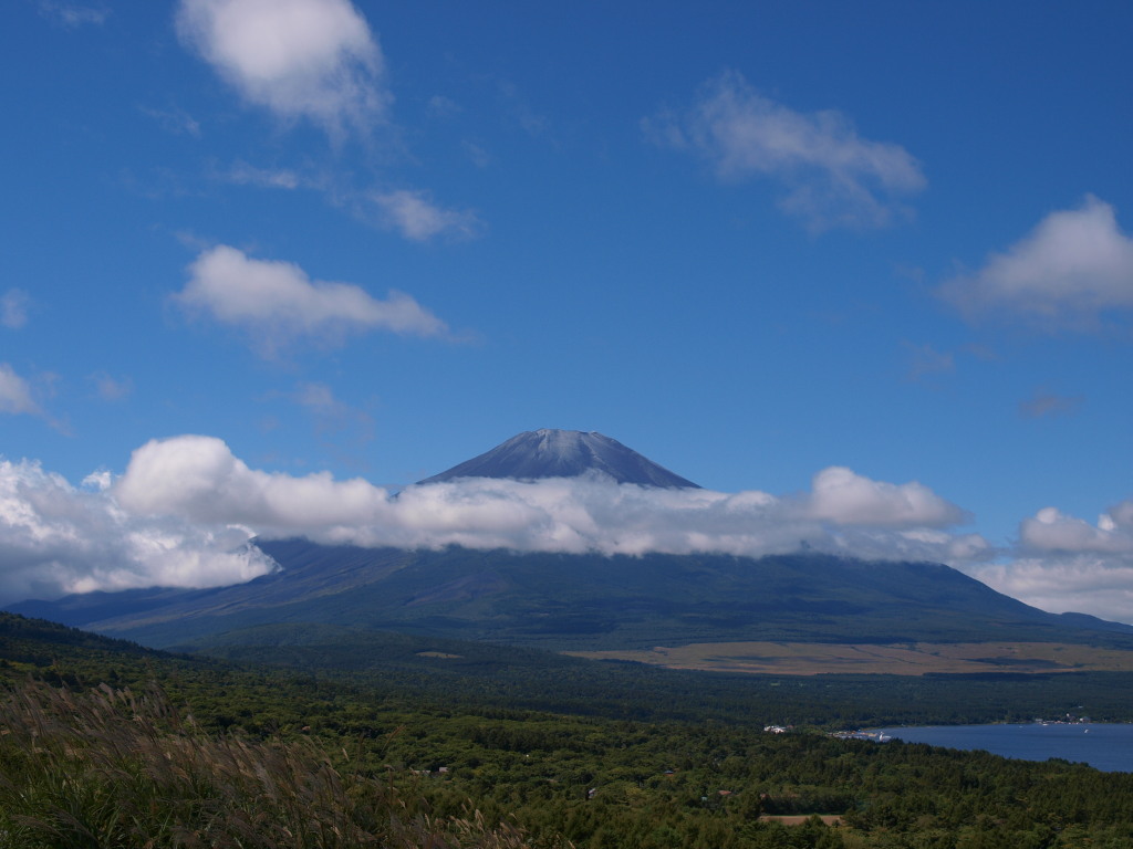 9/25 �J�オ��̕x�m�R