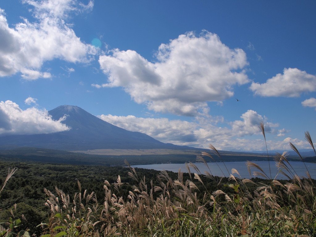 9/25 �X�X�L�ƕx�m�R