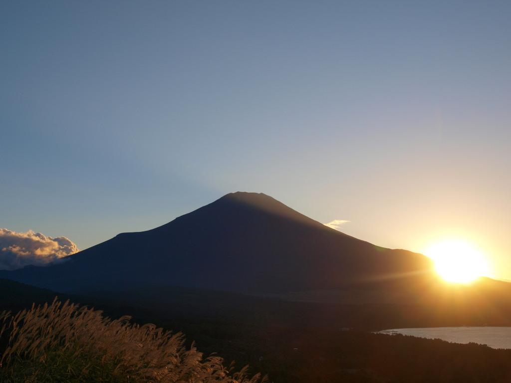 9/25 ���̓���̕x�m�R