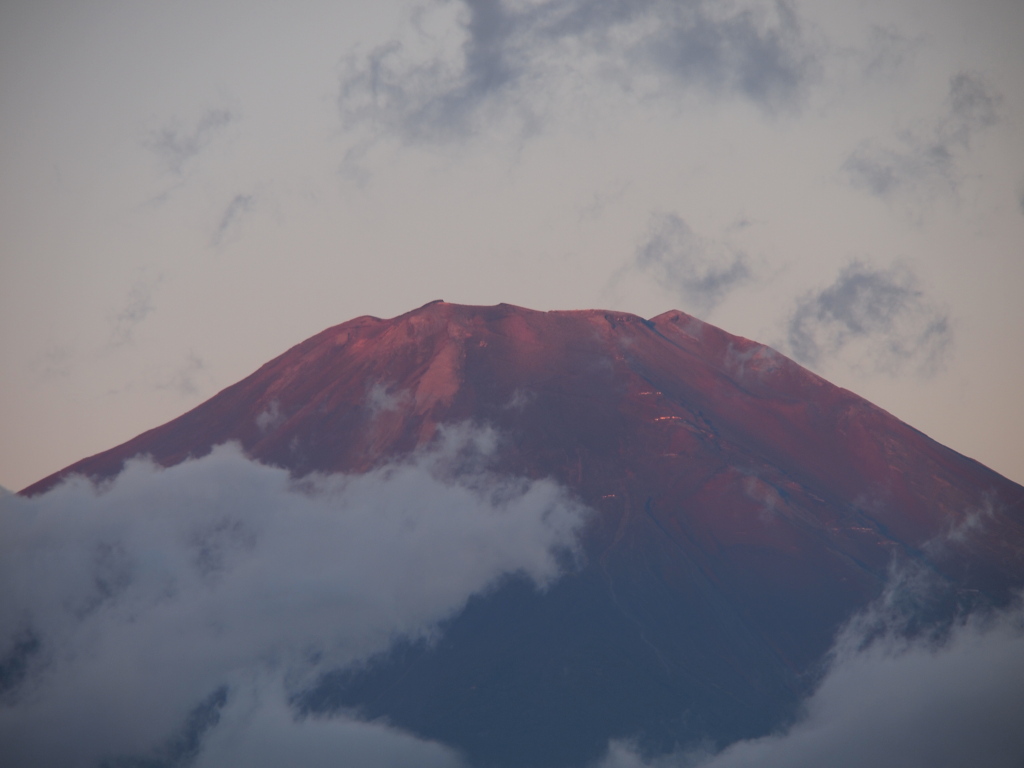 9/26 ���Ă��̕x�m�R