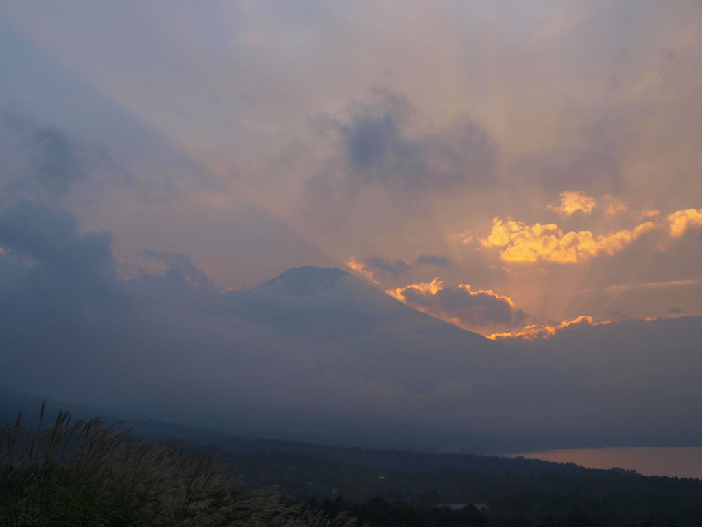 10/5 �_�̒��̓��̓���ƕx�m�R