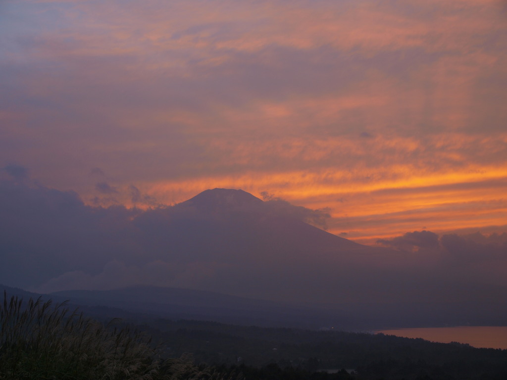 10/5 �[�Ă��ƕx�m�R