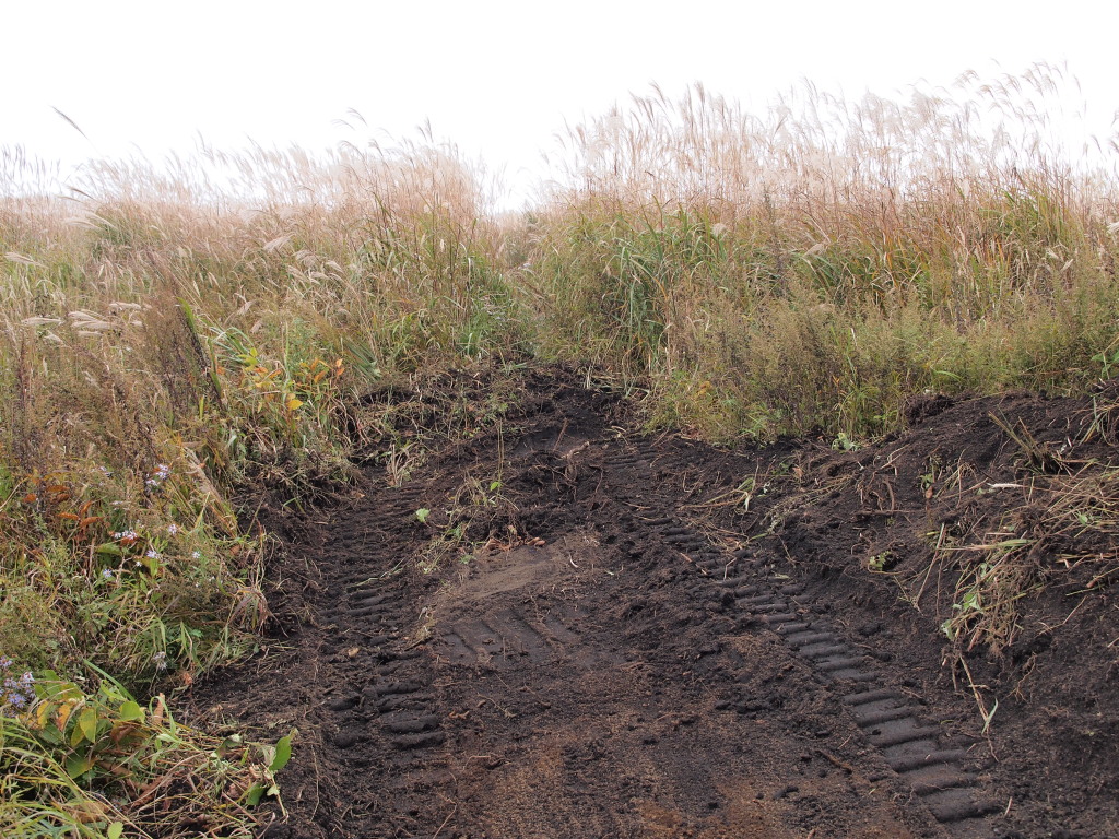 10/17 �����o�R���̏C��