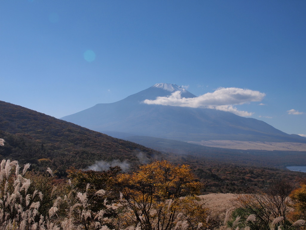 11/4 �O��������̕x�m�R