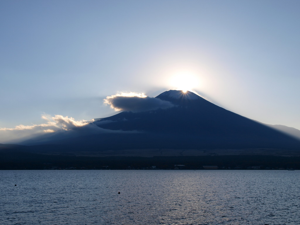 11/4 �_�C�������h�x�m(4)